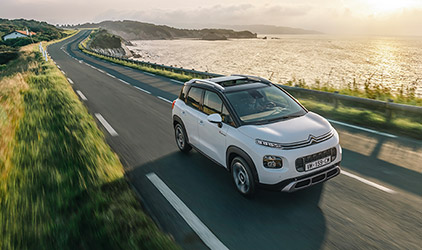 De beste co-rijder De beste co-rijder